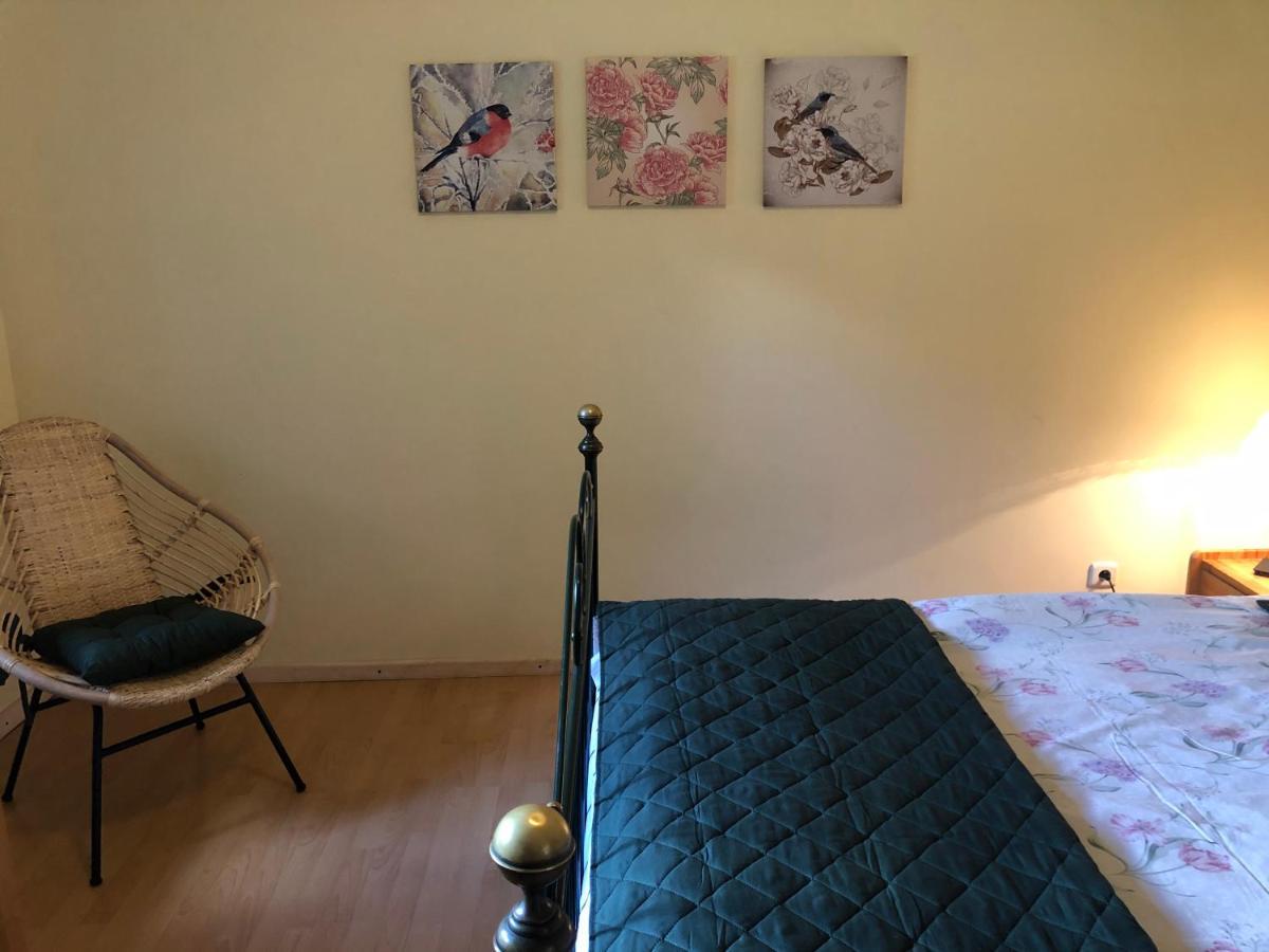 Za Piecem Villa Guzowy Piec Eksteriør bilde